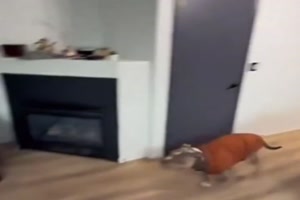 Flotter Sprung auf die Couch