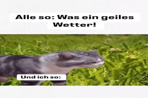 weiter