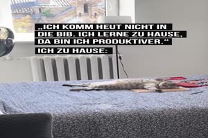Sehr produktiv