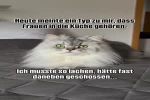 Musste so lachen