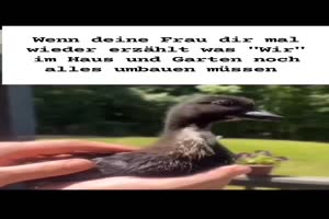 weiter