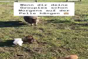 weiter