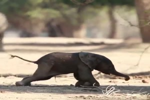 Laufen ist noch schwierig