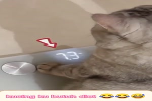 Bisschen Sport knnte helfen