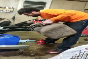 Erfolg auf ganzer Linie