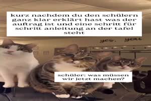 weiter