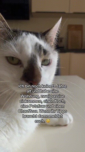 weiter