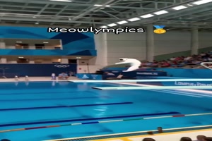 Katzenlympics