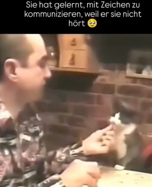 Zeichensprache der Katze