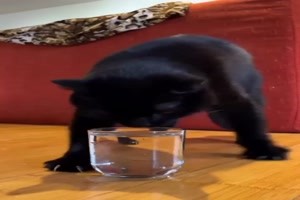 Besonderes Trink-Ritual