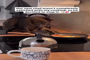 Das muss man nochmal probieren