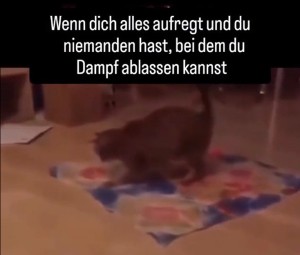 weiter