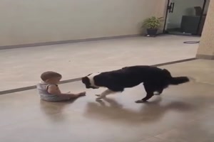 Spa� zwischen Baby und Hund