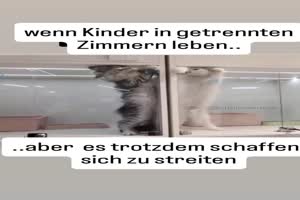 Streiten geht immer