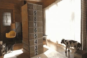 9 Boxen geschafft