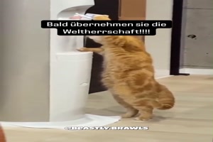 weiter