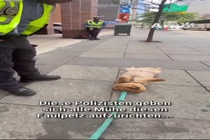 Dann steht er doch lieber auf