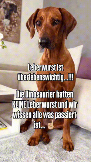 weiter