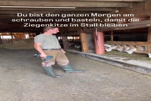 Die Tiere haben einen Weg gefunden