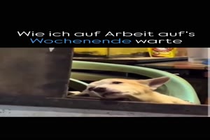 Wie ich aufs Wochenende warte