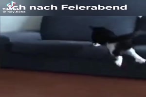 Ich nach Feierabend