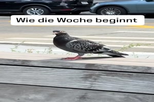 Von Montag bis Freitag