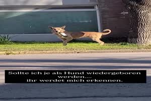 weiter