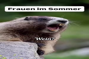 Frauen im Sommer