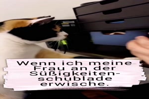 weiter
