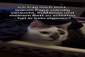 weiter