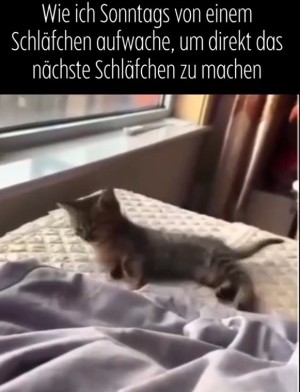 Sonntagsmdigkeit