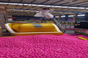 Flieg Engelchen flieg