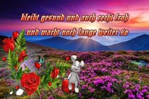 weiter