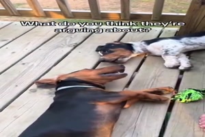 Zu faul um aufzustehen