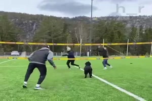 Super Spielpartner