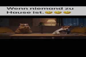 Wenn niemand zuhause ist
