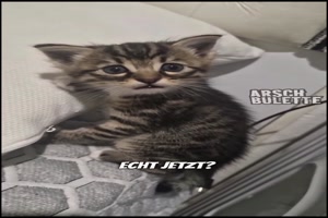 Dieser enttuschte Blick