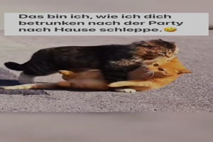 weiter