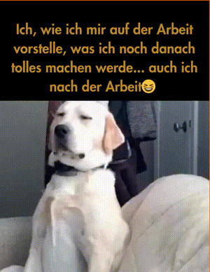 weiter