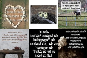 . auf www.funpot.net