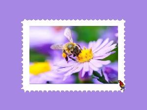 Bienen-auf-Briefmarken.pps auf www.funpot.net