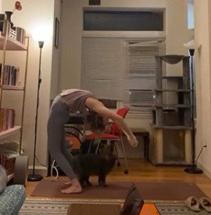 Katze-hilft-ihr.mp4 auf www.funpot.net