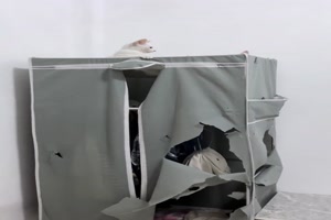 FunpotNews