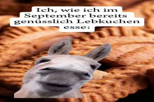 Lebkuchen im September