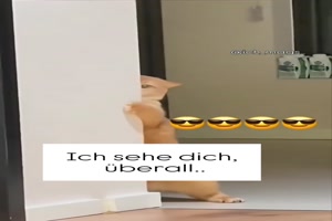 weiter