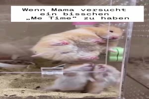 Wenn Mama bisschen Ruhe haben will
