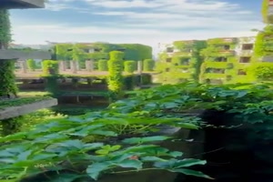 die Natur holt sich alles zurck