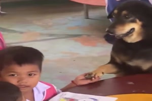 Was f�r ein lieber Hund