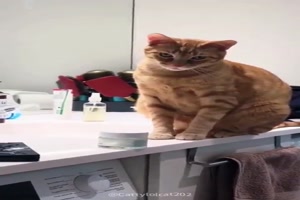 Noch rechtzeitig abgewendet