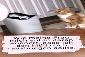 Der M�ll muss raus